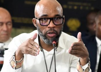 More Problems For Cat Matlala After Gen. Dumisani Khumalo Confirmed His Double Citizenship