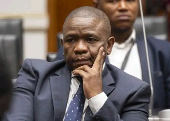 Breaking News | A Criminal Charge Has Been Laid Against Lt Mkhwanazi By A Top SA Political Leader