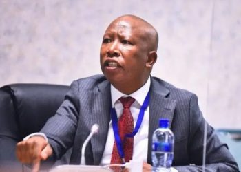 Malema Faces Pre-Sentencing Hearing Over Firearm Allegations
