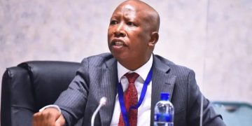 Malema Faces Pre-Sentencing Hearing Over Firearm Allegations