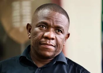 KZN Government Backs Mkhwanazi for Second Term as Police Commissioner