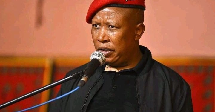 “You must suffer in hell” says Julius Malema in a post directed at a deceased social media critic