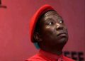 Thuli Madonsela drags Julius Malema in a hot water after Revealing a Top secret