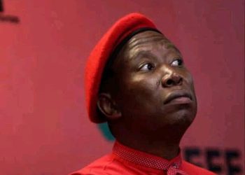 Thuli Madonsela drags Julius Malema in a hot water after Revealing a Top secret