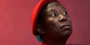 Thuli Madonsela drags Julius Malema in a hot water after Revealing a Top secret