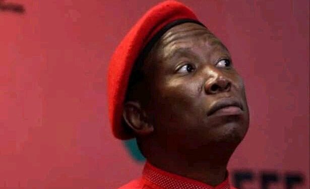 Thuli Madonsela drags Julius Malema in a hot water after Revealing a Top secret
