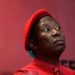 Thuli Madonsela drags Julius Malema in a hot water after Revealing a Top secret