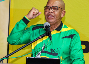ANC Limpopo Leader Stanley Mathabatha to Retire From Active Politics in March