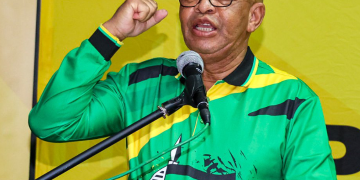 ANC Limpopo Leader Stanley Mathabatha to Retire From Active Politics in March