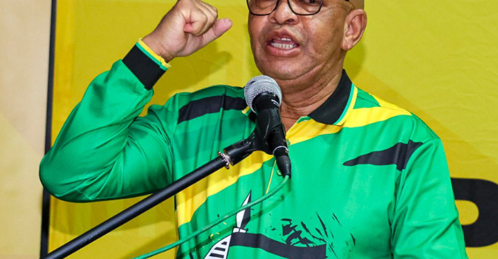ANC Limpopo Leader Stanley Mathabatha to Retire From Active Politics in March