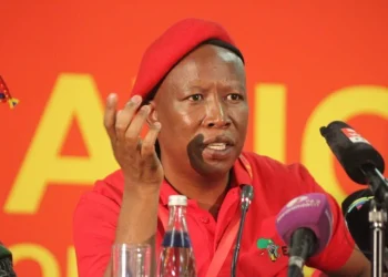 Malema Comments on ANC Succession Race, Names Mbalula as Frontrunner