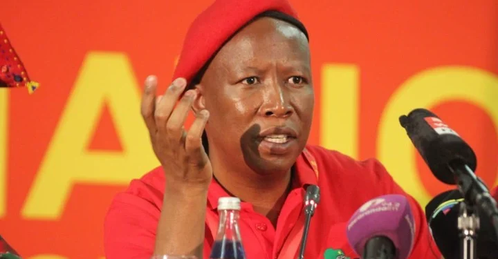 Malema Comments on ANC Succession Race, Names Mbalula as Frontrunner