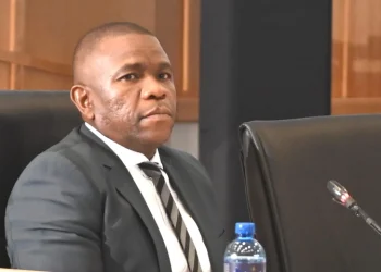 O’Sullivan Tells Committee Affidavit Alleges Mkhwanazi Led ‘Hit Squad’ Within SAPS