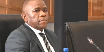O’Sullivan Tells Committee Affidavit Alleges Mkhwanazi Led ‘Hit Squad’ Within SAPS