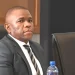 O’Sullivan Tells Committee Affidavit Alleges Mkhwanazi Led ‘Hit Squad’ Within SAPS