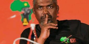 EFF Accuses IEC of Vote Discrepancy in Seshego, Calls for Investigation