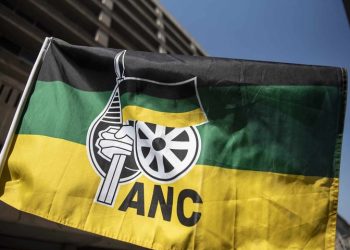 Limpopo ANC Faces Tensions Ahead of Provincial Conference