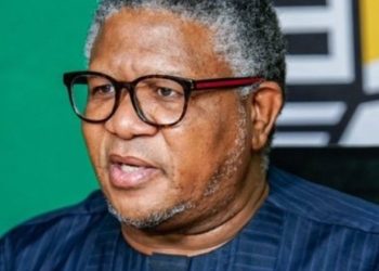 MK Party MP Vusi Shongwe Clashed With ANC MPs Xola Nqola And Khusela Diko Over Fikile Mbalula