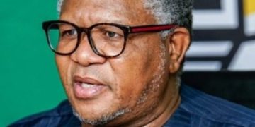 MK Party MP Vusi Shongwe Clashed With ANC MPs Xola Nqola And Khusela Diko Over Fikile Mbalula