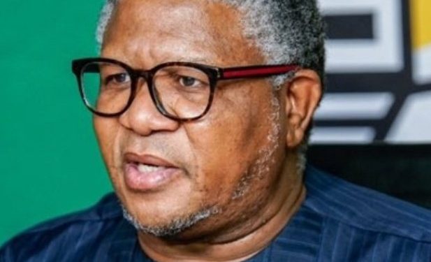 MK Party MP Vusi Shongwe Clashed With ANC MPs Xola Nqola And Khusela Diko Over Fikile Mbalula