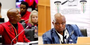 Julius Malema Dismisses Safety Concerns of EFF’s Brown Mogotsi