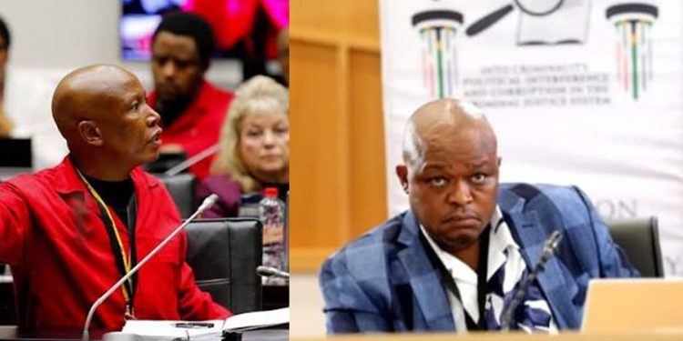 Julius Malema Dismisses Safety Concerns of EFF’s Brown Mogotsi