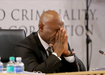 Mastermind Behind Mchunu Push To Disband Task Team Finally Exposed By Shadrack Sibiya