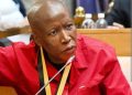 Malema Has Dragged His Ex Ally Jossey Buthane to Court Over Weight-Loss Claims