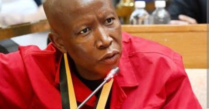 Malema Has Dragged His Ex Ally Jossey Buthane to Court Over Weight-Loss Claims