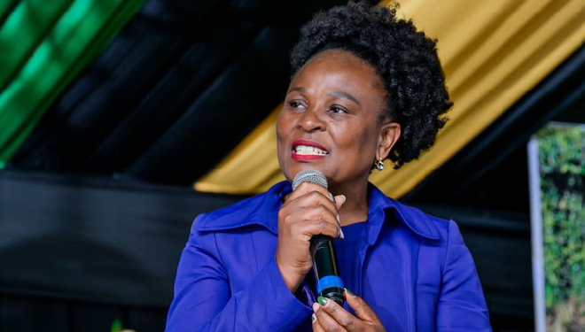 I Can’t Bear It Anymore: Mkhwebane Drop A Bombshell About Sibiya Claims At Madlanga Commission