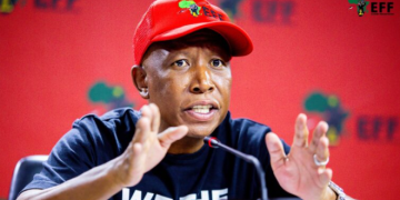 “You Don’t Have to Quote Me, I’m Live” —Julius Malema’s Unscripted Moment Lights Up the Studio