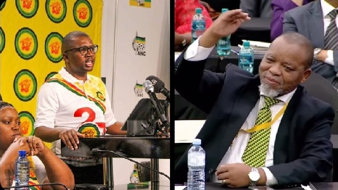 ANC Youth League Urged to Demand Gwede Mantashe’s Resignation After Parliamentary Row