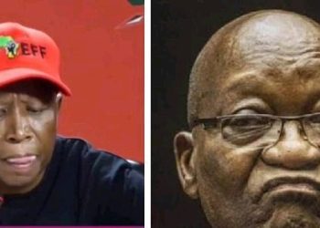 “MK Party Is Not Growing But Is Instead Declining” Julius Malema Declared