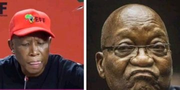 “MK Party Is Not Growing But Is Instead Declining” Julius Malema Declared