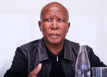 The EFF List Revealed: How 7 Companies Linked to CIC Juju Almost Bagged a Tshwane Security Tender