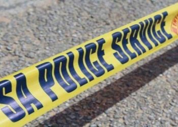 Three Suspects Killed in High-Speed Chase and Shootout with Hawks in Johannesburg