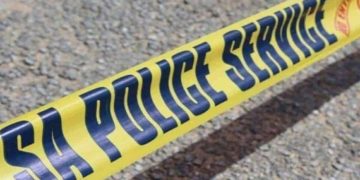 Three Suspects Killed in High-Speed Chase and Shootout with Hawks in Johannesburg