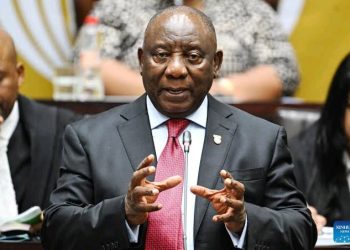 MP Sends Message to Ramaphosa After Reports Claim Top SA Minister Is Part of Drug Cartels