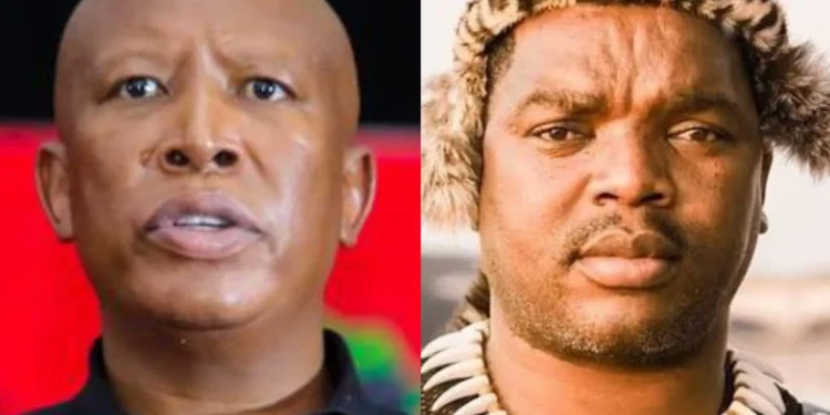 Podcaster Ngizwe Mchunu Declares Julius Malema Unwelcome in KZN at Anti-Foreigner March