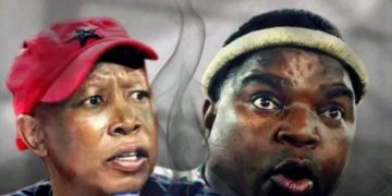 You Can’t Ban Me: Julius Malema Fired Back After Ngizwe Mchunu Declare Him Unwelcome In KZN