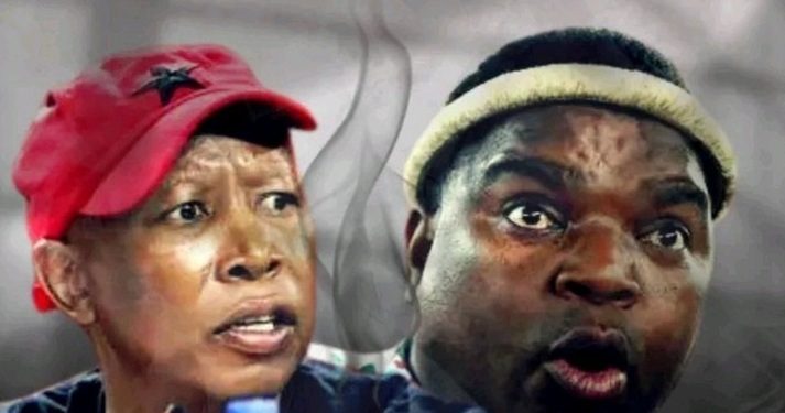 You Can’t Ban Me: Julius Malema Fired Back After Ngizwe Mchunu Declare Him Unwelcome In KZN