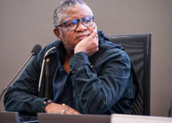 ANC in Legal Storm as Member Seeks Jail Time for Mbalula, Kubayi and Mabuyane Over Alleged Contempt