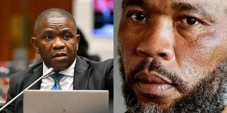 General Mkhwanazi Has Finally Revealed Why Cat Matlala Was Removed From C-Max Prison