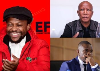 Ndlozi Rallies Support for Police Commissioner Mkhwanazi as EFF Feud Escalates