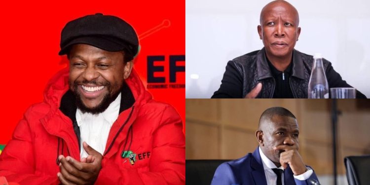 Ndlozi Rallies Support for Police Commissioner Mkhwanazi as EFF Feud Escalates