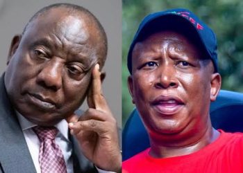Ramaphosa Faces Fresh Pressure as EFF Takes Phala Phala Fight to Top Court