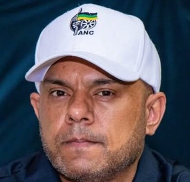 Madlanga Raises Alarm Over Affidavit Suggesting Commission Linked to Witness Deaths