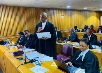 Advocates Dali Mpofu & Ayanda Bodlani Appeared At East London High Court This Morning