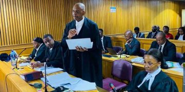 Advocates Dali Mpofu & Ayanda Bodlani Appeared At East London High Court This Morning