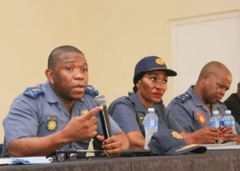 ‘No one can force you to use taxis’: Mkhwanazi warns associations against intimidating motorists
